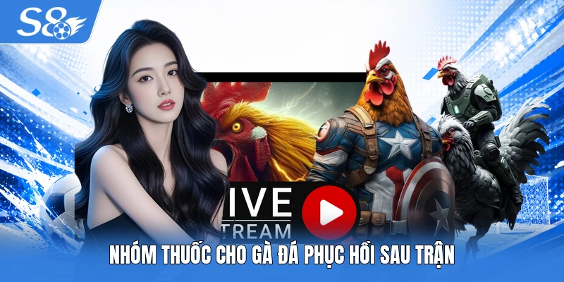 Nhóm thuốc cho gà đá phục hồi sau trận